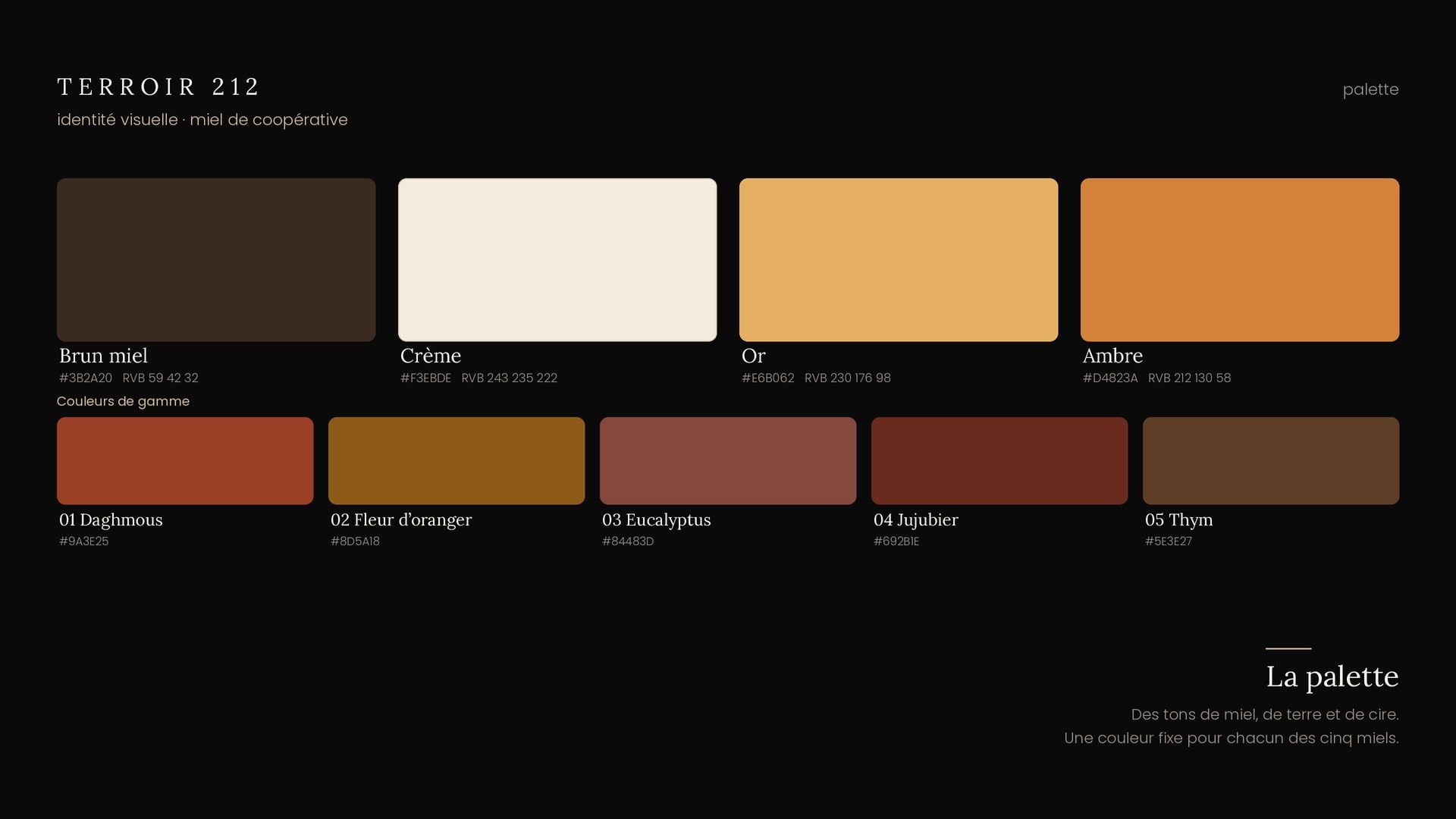 La palette : brun miel, crème, or, ambre, et les cinq couleurs de gamme
