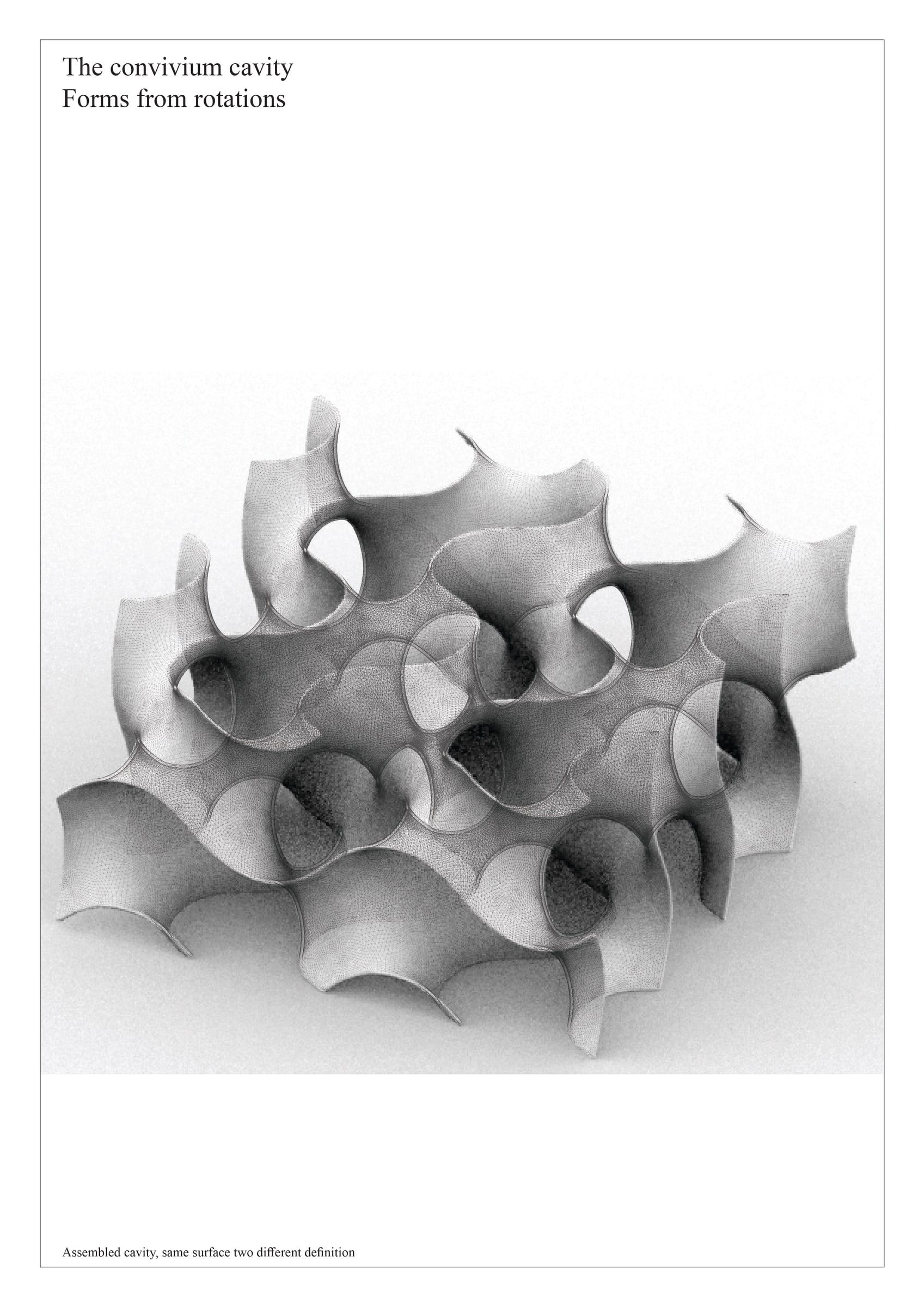 Planche « The convivium cavity — Forms from rotations » : volume ajouré généré par rotation