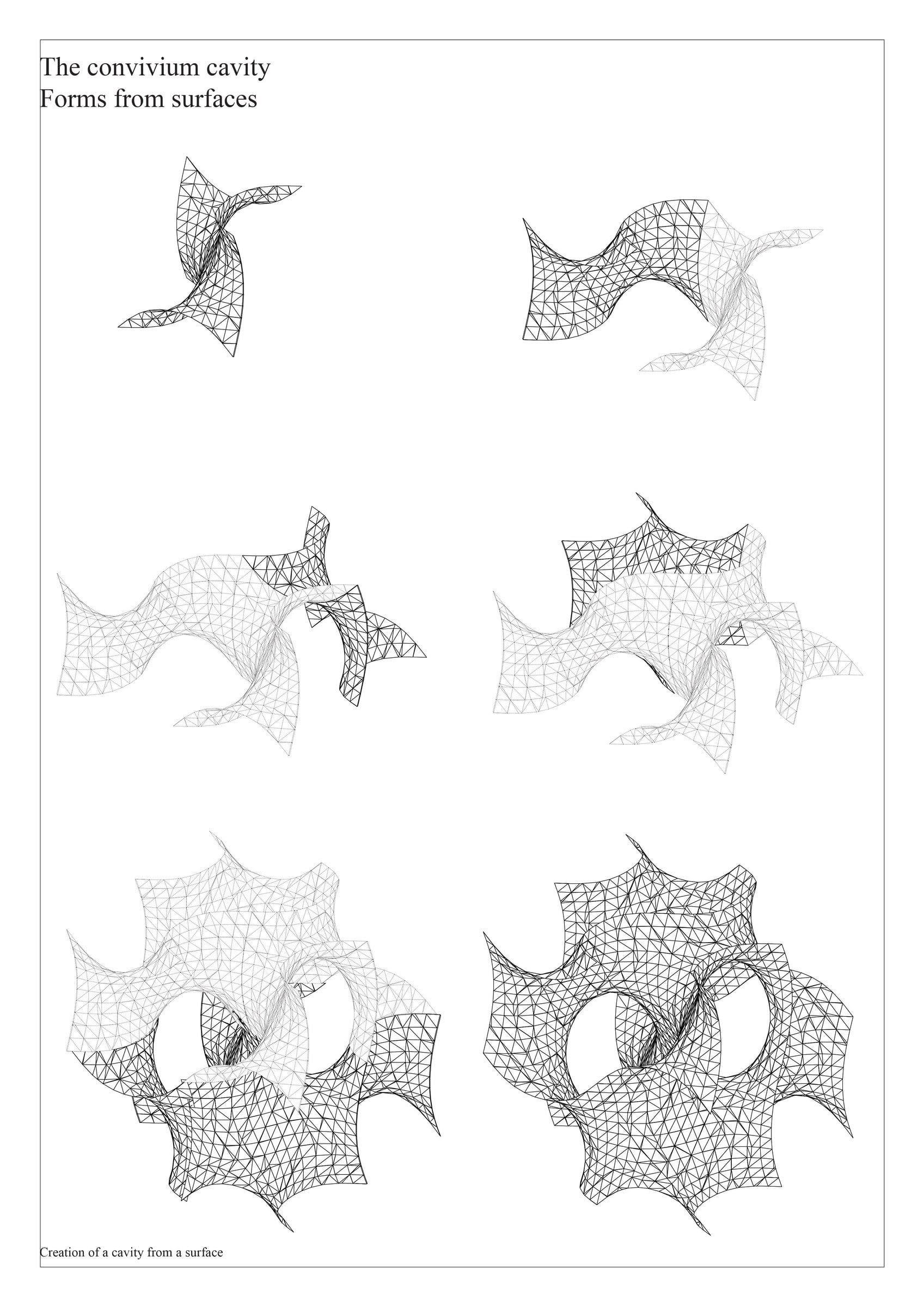 Planche « The convivium cavity — Forms from surfaces » : formes générées à partir de surfaces, en filaire